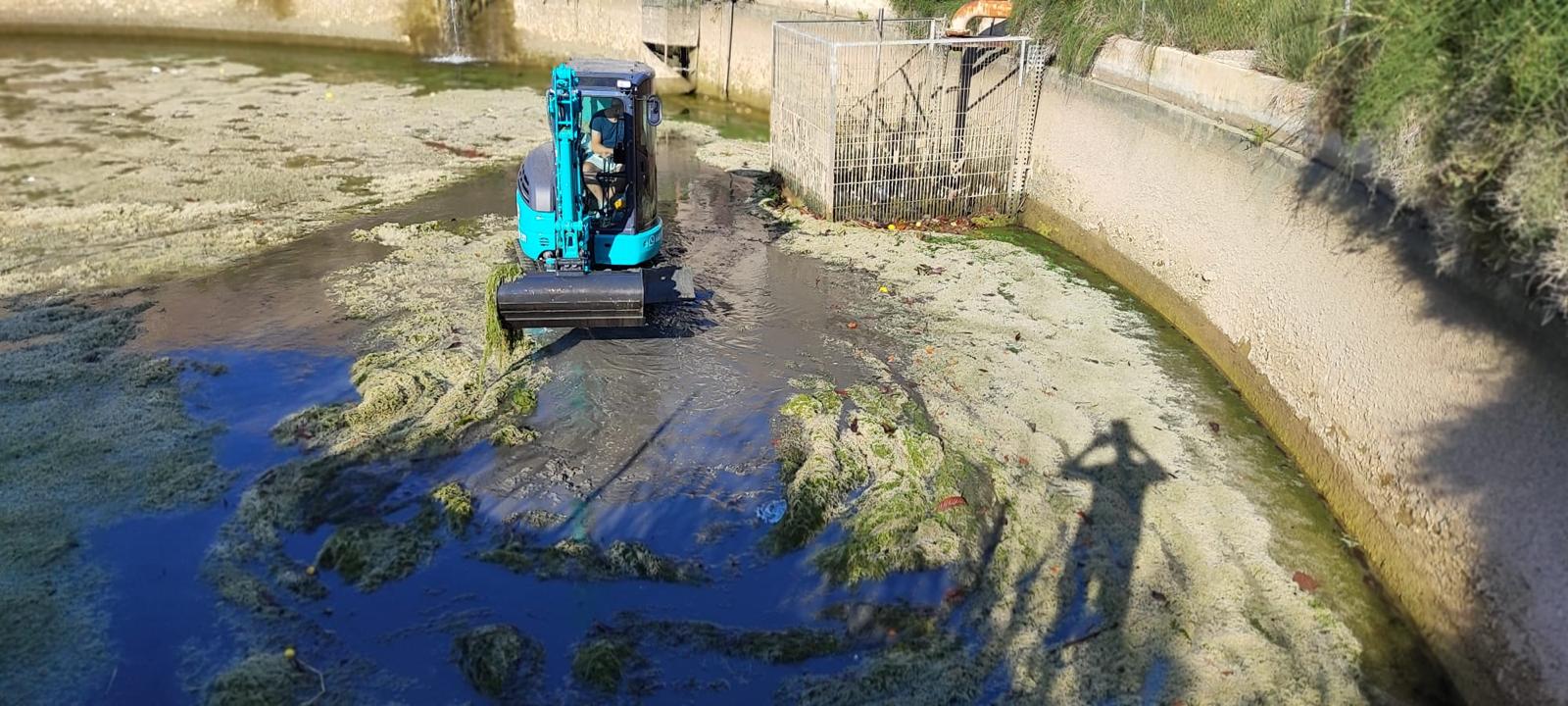 Services whatsapp image 2025 10 25 at 08.29.16